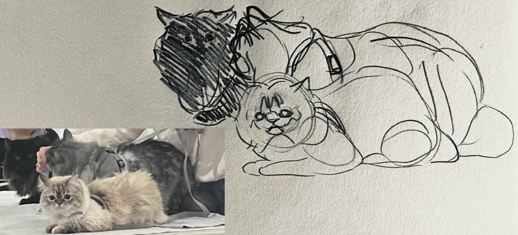 Animal Life Drawing (Feline)